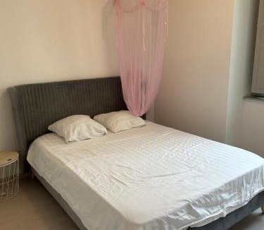 Saumur Apartment | Centre ville T3