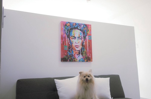 Zona Centro Apartment | Centrico Loft en Centro Historico