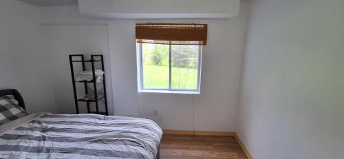 Glen Williams House | Century House on Quarter acre lot