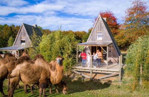 Hermival-les-Vaux Other | Cerza Safari Lodge