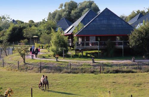 Hermival-les-Vaux Other | Cerza Safari Lodge