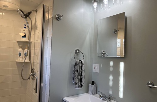 Glasser Apartment | C’est La Vie Lakeview 1br with dock access!