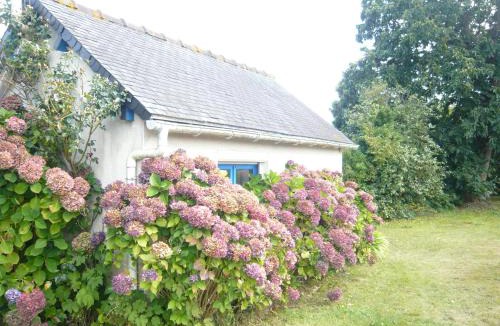 Plouezec Bed & Breakfast | Châtaigne