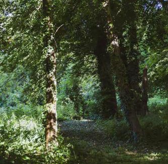 Saint-Lubin-des-Joncherets Apartment | Château Studio With Water Views