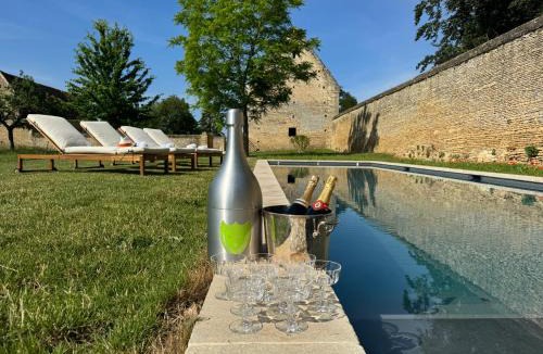 Vendeuvre Villa | Château classé avec piscine et billard - Demeure d'exception 25 pers
