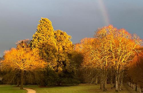 Azay-sur-Cher Bed & Breakfast | Château de Beauvais