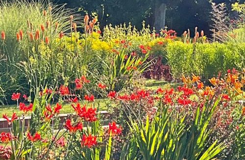 Azay-sur-Cher Bed & Breakfast | Château de Beauvais