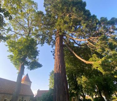 Bouesse House | Château de Bouesse en Berry