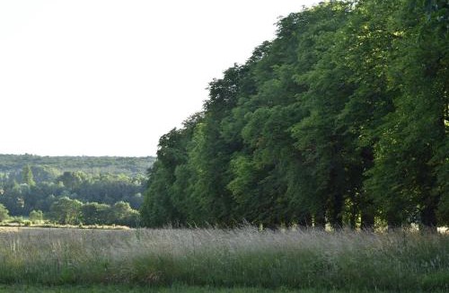Chambourg-sur-Indre Bed & Breakfast | Château de Chavigny