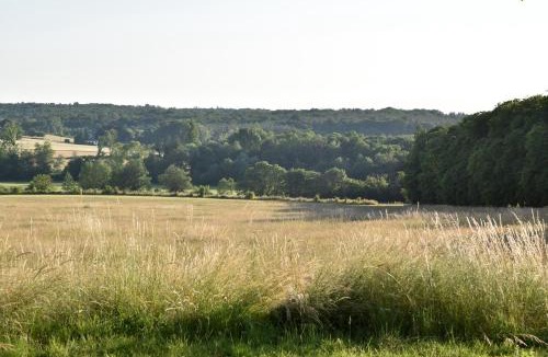 Chambourg-sur-Indre Bed & Breakfast | Château de Chavigny
