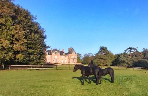 Bacilly Bed & Breakfast | Château de Chantore