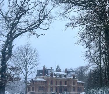 Chaumes-en-Brie Bed & Breakfast | Château de Crènille