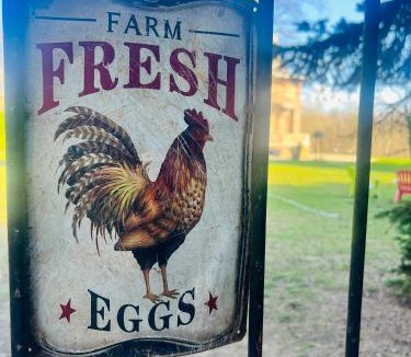 Chaumes-en-Brie Bed & Breakfast | Château de Crènille