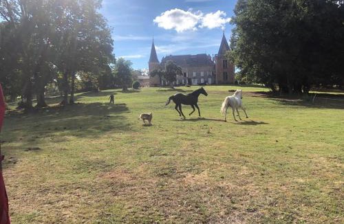 Saint-Etienne-sur-Usson Bed & Breakfast | Château de la Forie