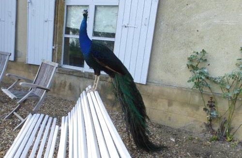 Saint-Jean-aux-Amognes Bed & Breakfast | Château de SURY