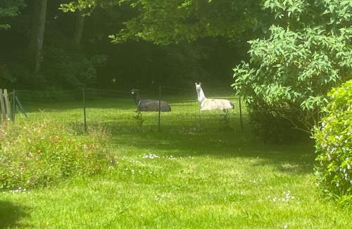 Neuville-au-Plain Bed & Breakfast | Château de Grandval - Sainte Mere Eglise