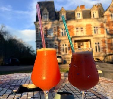 La Membrolle-sur-Choisille Hotel | Château De L'aubrière - Teritoria