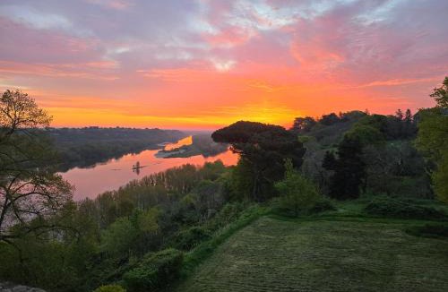 Champtoceaux Bed & Breakfast | château de La Colinière - vue sur parc