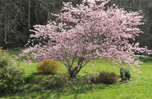 Aurillac Bed & Breakfast | Château de la Moissetie