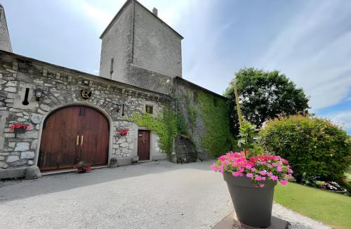 Cruet Bed & Breakfast | Château De La Rive Suite Romantique
