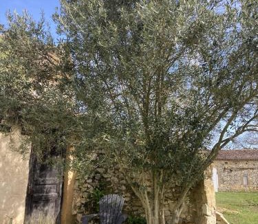 Monsac Bed & Breakfast | Château de Monsac