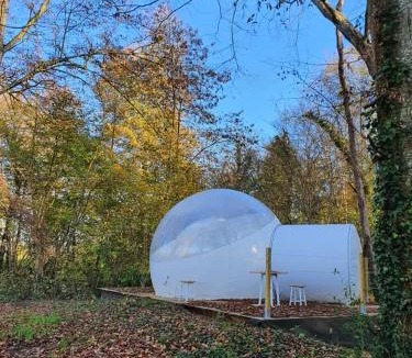 Montaulin Bed & Breakfast | Château de Montabert