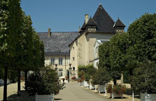 Saint-Jean-d'Ardieres Hotel | Château de Pizay