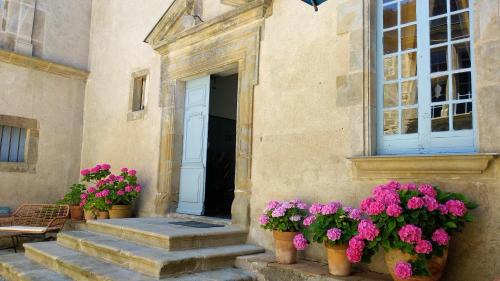 Puicheric Bed & Breakfast | Château de Puichéric