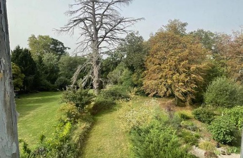 Langon Bed & Breakfast | Château de Respide