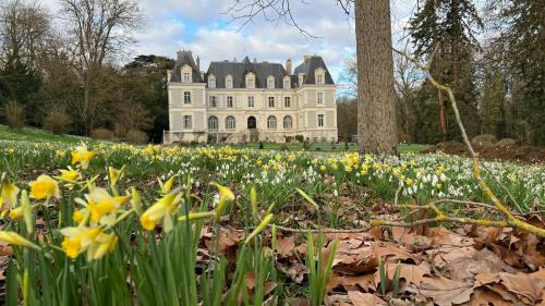 Saint-Bohaire Bed & Breakfast | Château de Saint-Bohaire