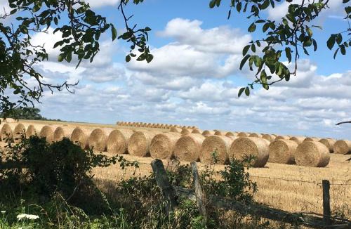 Rivieres Bed & Breakfast | Château des Fouilloux