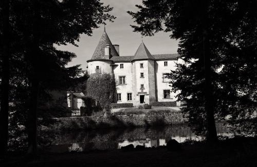 Saint-Dier-dʼAuvergne Bed & Breakfast | Château des Martinanches