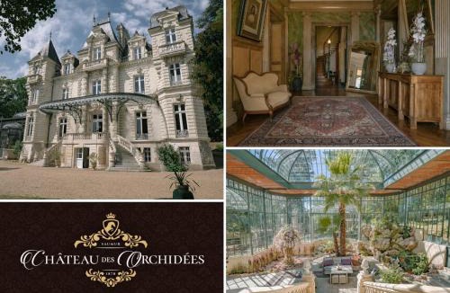 Saint-Hilaire-Saint-Florent Bed & Breakfast | Château des Orchidées Stay in a French Castle
