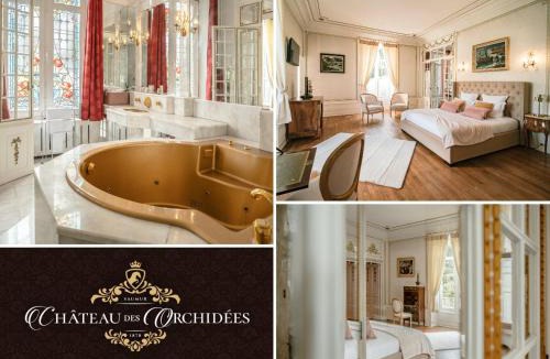 Saint-Hilaire-Saint-Florent Bed & Breakfast | Château des Orchidées Stay in a French Castle