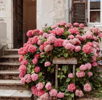 Lantignie House | Château des Vierres