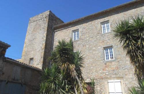 Canet House | Château-donjon du XIe siècle Logis de La Meschaussée