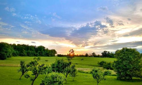 Sannat House | Château du Tirondet