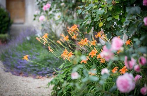 Cande-sur-Beuvron Bed & Breakfast | Château Laborde Saint Martin