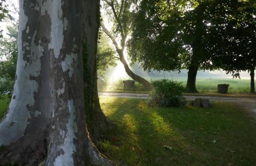 Vertheuil House | Château Le Souley