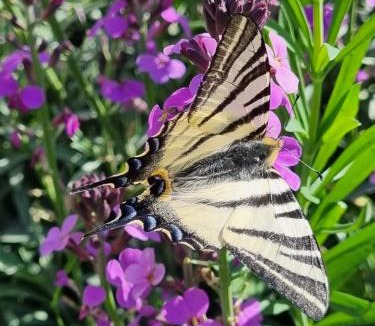 Le Pizou Apartment | Château Neuf Le Désert