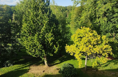 Citry Apartment | Château Paris Champagne Disney