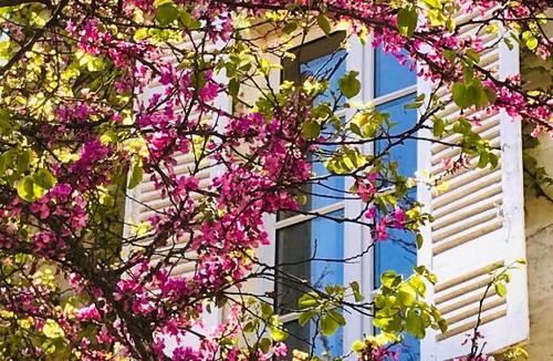 Sainte-Bazeille Bed & Breakfast | Château Rouge 47