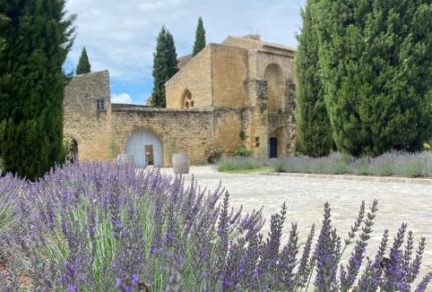 Puyvert Bed & Breakfast | Château Saint-Pierre de Mejans
