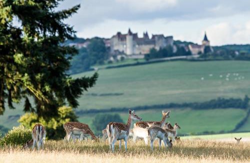 Sainte-Sabine Hotel | Château Sainte Sabine