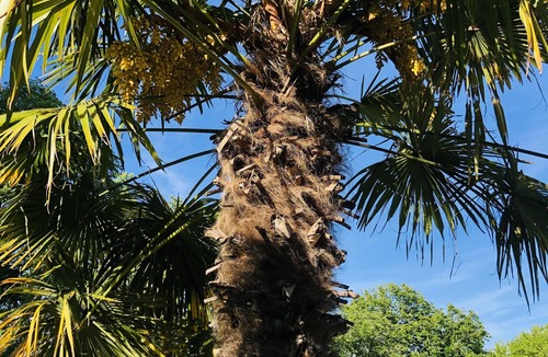 La Courtete Apartment | Château St-joseph: Gîte 4 D'exception