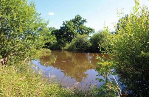 Eyjeaux House | Chabatz d'entrar a pouleinat