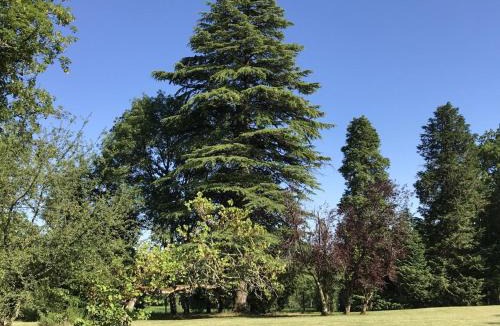 Savignac-les-Eglises House | Chadalou