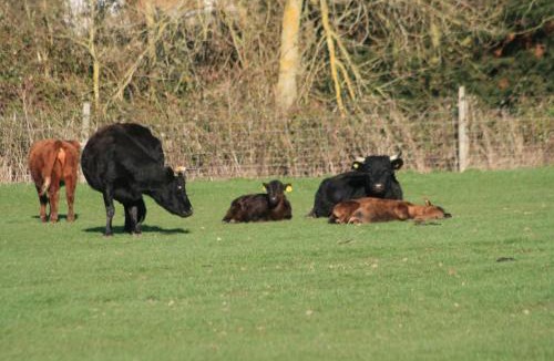 Princes Risborough Bed & Breakfast | Chadwell Hill Farm