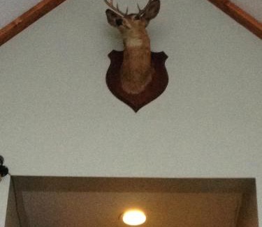 Chaffee Cabin | Chaffee Lodge