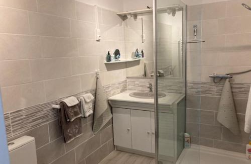 Saint-Jean-de-Boiseau Apartment | Chai Saint Jean CAMELIA Piscine et SPA